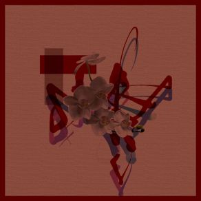 Occupant album cover