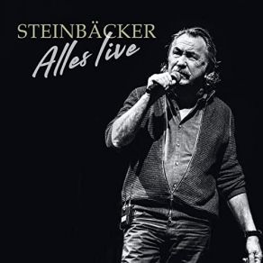 Alles Live (Live) album cover