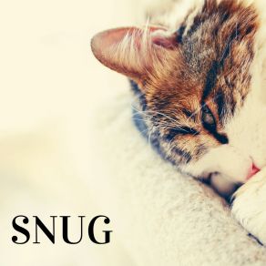 Snug album cover
