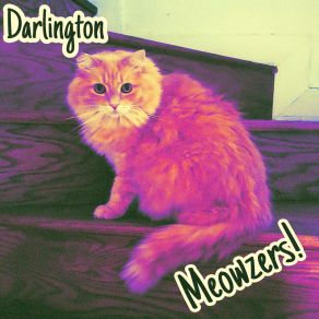 Meowzers! album cover