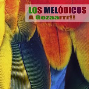 A Gozaarrr!! album cover