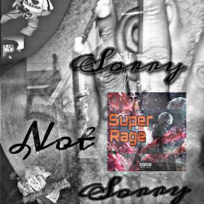 Sorry Not Sorry album cover