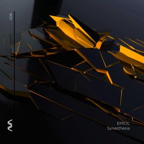Synesthesia album cover