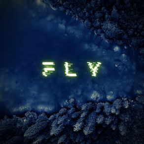 Fly album cover