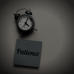 Patience album cover