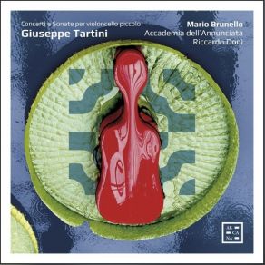 Tartini - Concerti E Sonate Per Violoncello Piccolo - Mario Brunello album cover