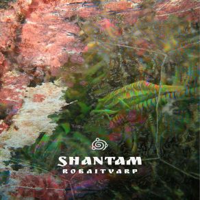 Robaitvarp album cover