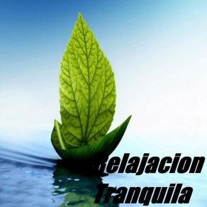 Relajación Tranquila album cover