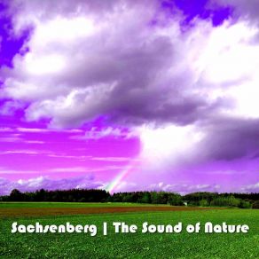 The Sound Of Nature album cover