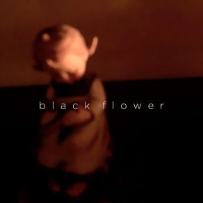 Black Flower album cover