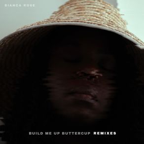Build Me Up Buttercup (Remixes) album cover