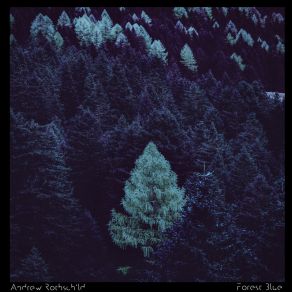 Forest Blue album cover