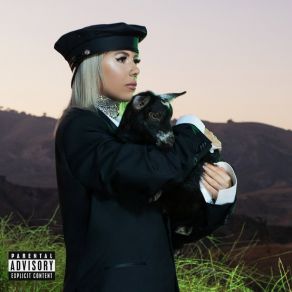 I Won't Let You Fall (Remixes) album cover