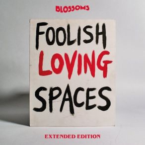 Foolish Loving Spaces (Extended Edition) album cover