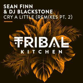 Cry A Little (Remixes Pt. 2) album cover