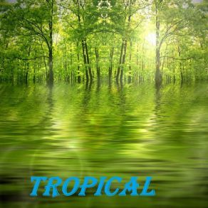 Tropical album cover