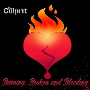 Burning, Broken & Bleeding album cover