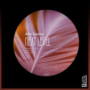 Next Level album cover