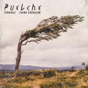 Puelche album cover