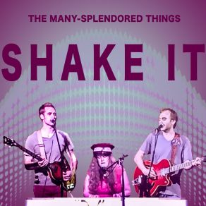 Shake It album cover