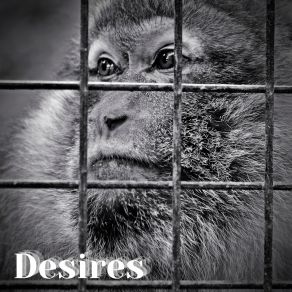 Desires album cover