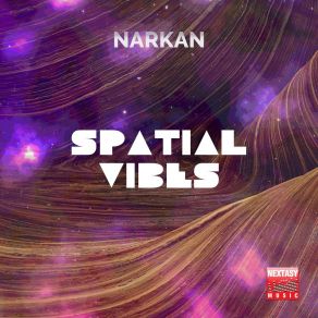 Spatial Vibes (Original Mix) album cover
