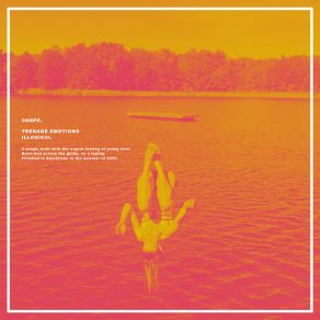 Teenage Emotions — Illogical album cover