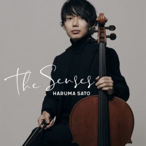 The Senses album cover