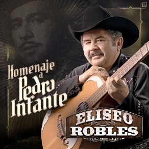 Homenaje A Pedro Infante album cover