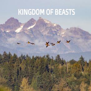 Kingdom Of Beasts album cover