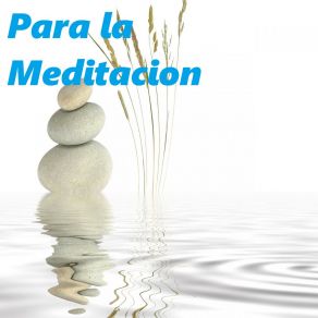Para La Meditacion album cover