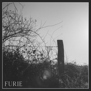 Furie album cover