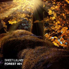 Sweet Lullaby (Drum & Bass Remix) (Single) album cover