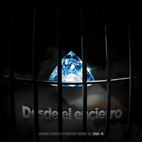 Desde El Encierro album cover