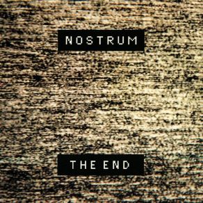 The End album cover