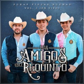 Puras Piezas Buenas, Vol. 1 (En Vivo) album cover