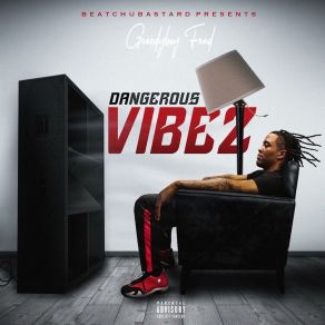 Dangerous Vibez album cover