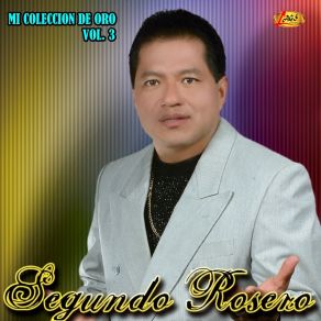 Mi Coleccion De Oro, Vol. 3 album cover