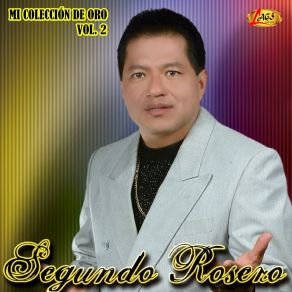 Mi Coleccion De Oro, Vol. 2 album cover