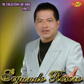 Mi Colección De Oro, Vol. 1 album cover