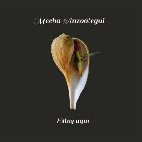 Estoy Aquí album cover