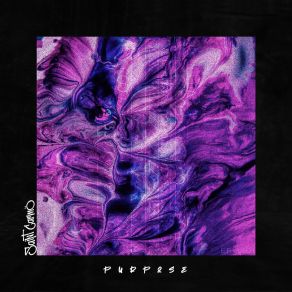 Look Inside album cover