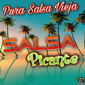 Pura Salsa Vieja album cover