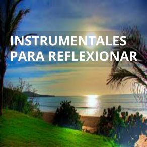 Instrumentales Para Reflexionar album cover