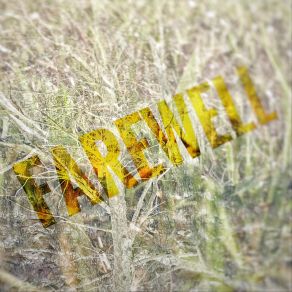 Farewell album cover