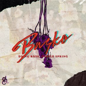 Dying Rose, Purple Spring album cover