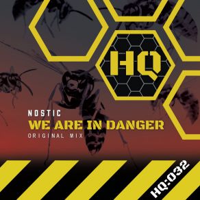 We Are In Danger album cover