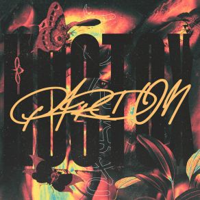 Pardon (Original Mix) album cover