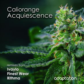 Acquiescence album cover