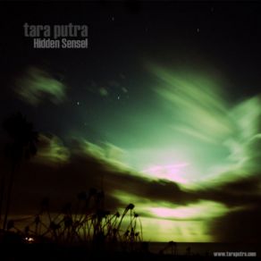 Hidden Sense (Maxi-Single) album cover